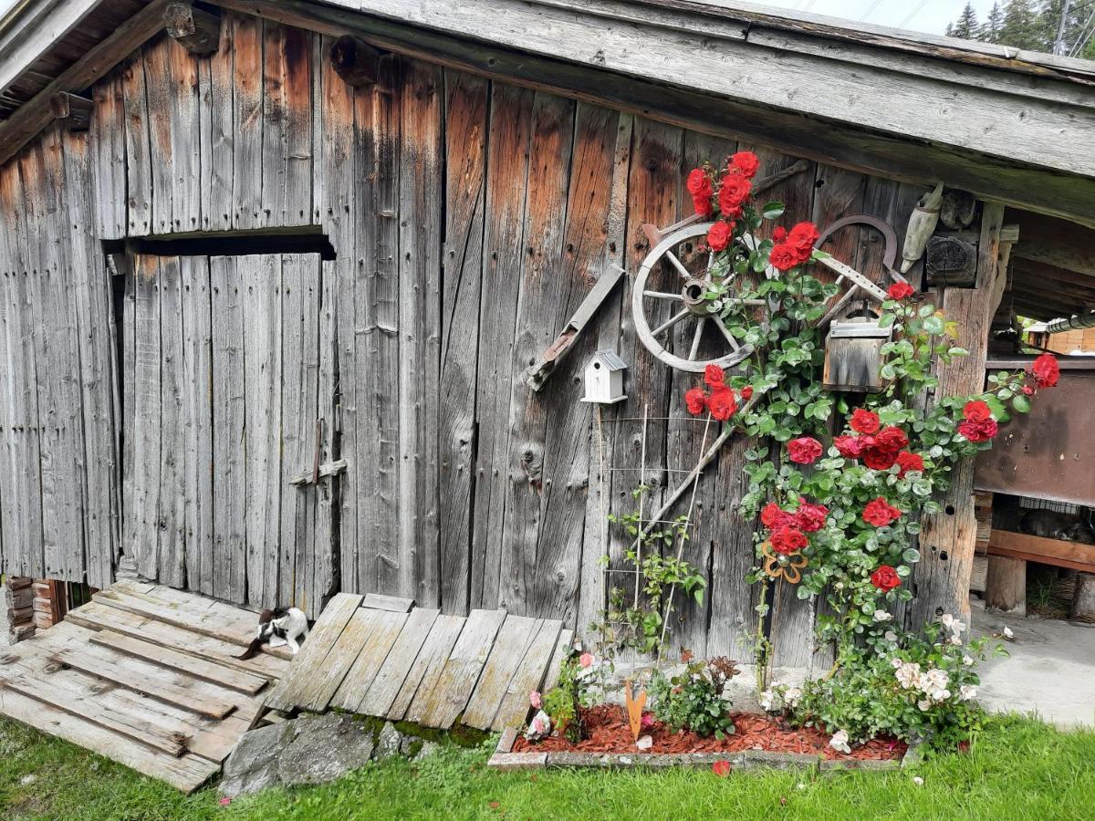 Ferienwohnungen Rieder Gerlos Exteriör bild
